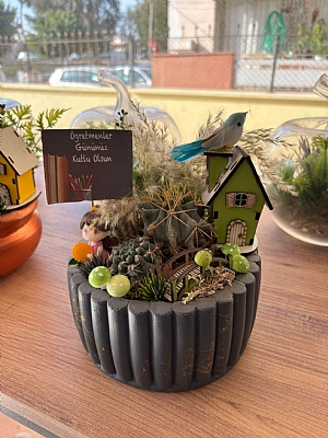 Taş Teraryum Öğretmenler Günü Özel